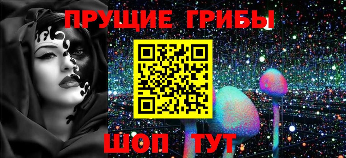 Псилоцибиновые грибы GOLDEN TEACHER  купить наркотик  Фрязино  Вход с VPN 